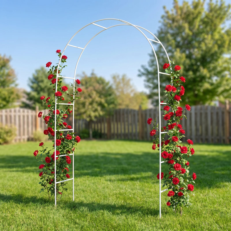 Arche de jardin en métal robuste pour plantes grimpantes 7,9 pi H x 4,6 pi Scendor