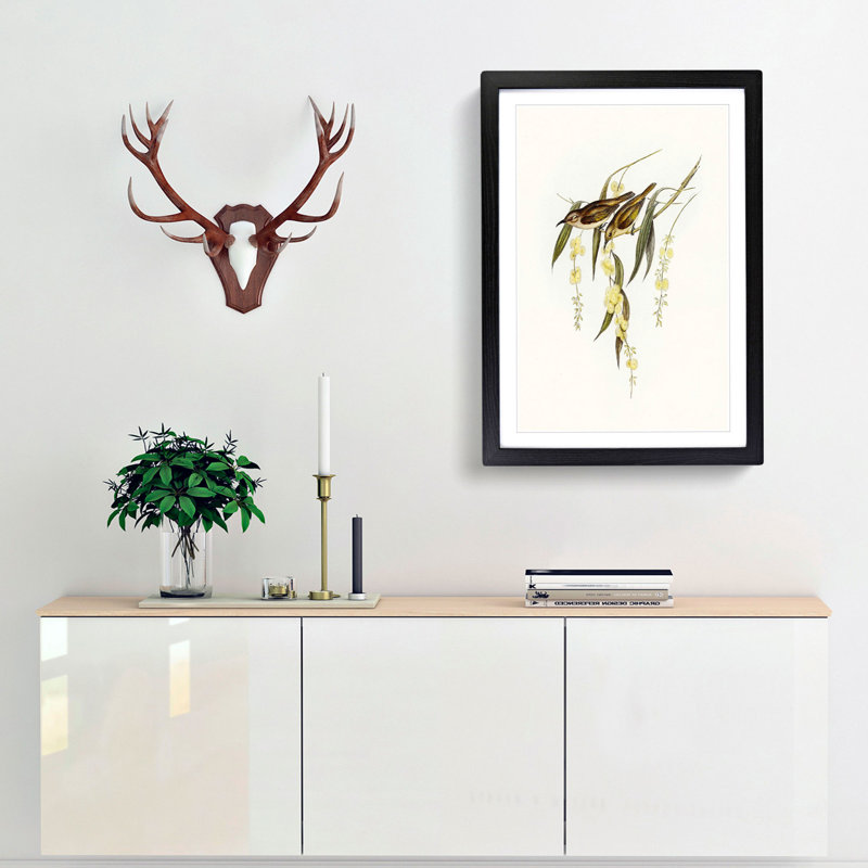 Brown Honeyeater Birds by Elizabeth Gould - Picture Frame Graphic Art Print, 65cm H x 48cm W x 2cm D, Black Framed