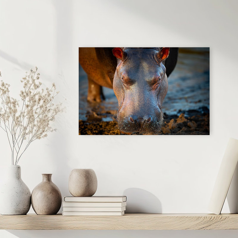 African Hippo Portrait Contemporary Wall Art Print, 30.48cm H x 45.72cm W