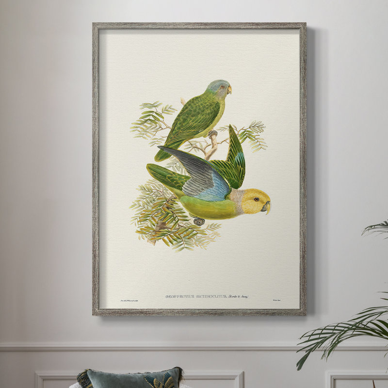 Lime & CeruleanParrotsI, reproduction encadrée - bois massif, H 11 po x l 9 po