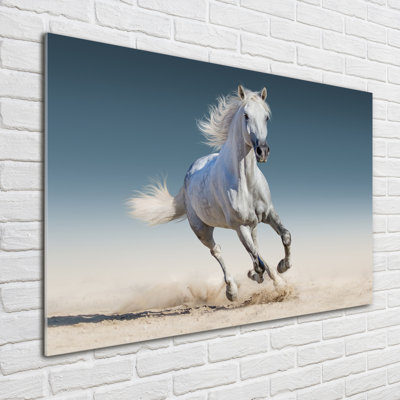 White Horse In Gallop - No Frame Print on Glass
