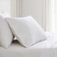 Ensemble de draps en coton Martha Stewart Lilly Pond Leaf-119136828-119136814