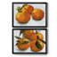 Citrus Grouping I - ensemble de 2 reproductions de cadres photo-1222083505-1222083507