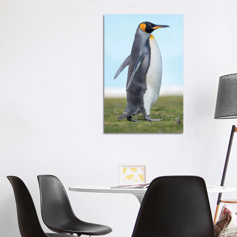 King Penguin On Falkland Islands. by Martin Zwick - Wrapped Canvas Print, 101.6 cm H x 66.04 cm W x 1.91 cm D