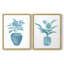 Impression encadrée V-Premium Watercolor House Plant - prête à être accrochée - aucun clou requis - aucun clou requis-1699400281-1699400283