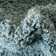 Eginhardt Shag Pure Area Rug