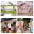 78'' W x 8.27'' D Backdrops & Signs in Gold