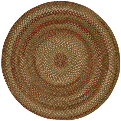 Michal Gladys Braided Striped Red/Brown/Green Area Rug