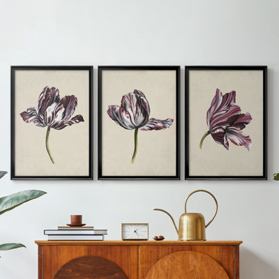 Antique Tulip Study I - Toile tendue avec châssis sur mesure - 3 pièces