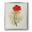 Fleurs de la saison VII, toile encadrée de qualité supérieure - prête à être accrochée-100457140-100457141