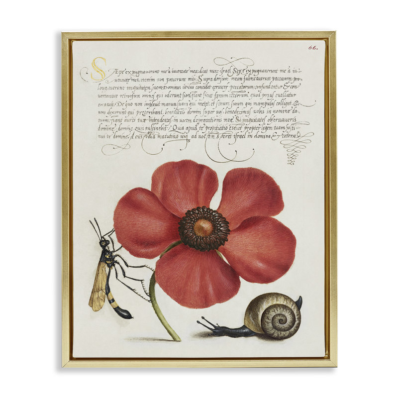 Art mural rétro sur toile encadrée d'insectes rétro par Joris Hoefnagel, Doré, H 31 po x l 25 po