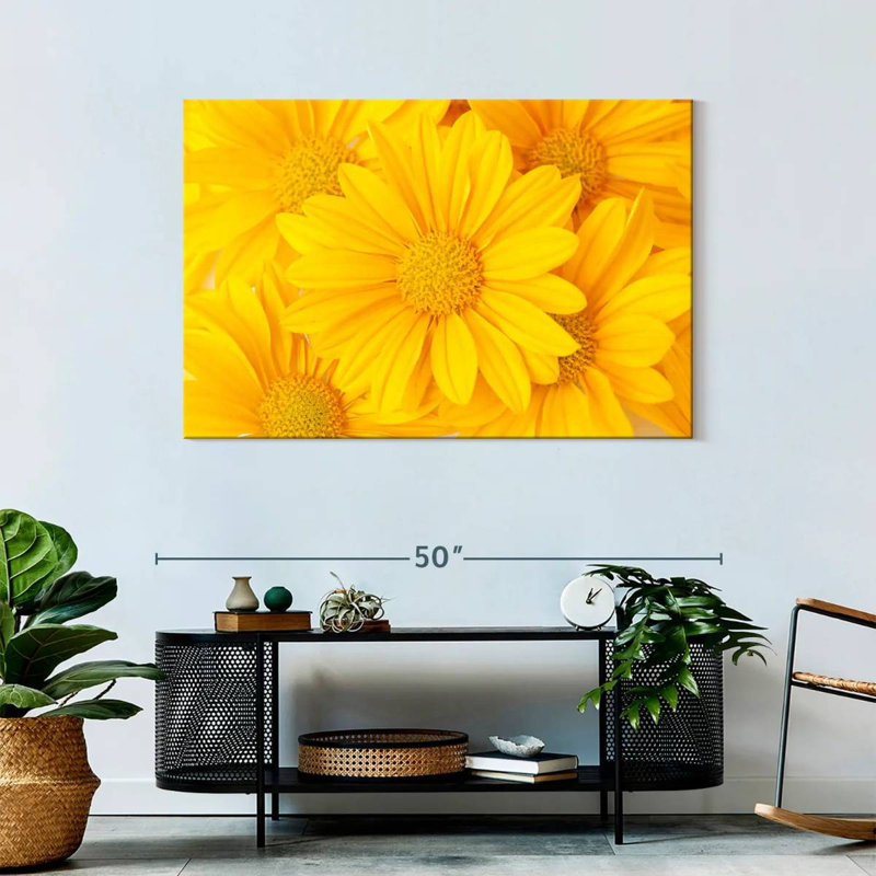 Marguerites jaunes Harnek, H 30 po x l 45 po