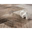 Tapis Caprera-1207192491