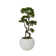 Artificial Bonsai Tree In A White Fishbowl Planter