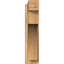 Sapin Douglas-113998552-109329436