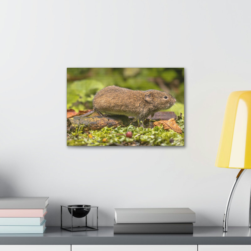No Frame Print on Canvas