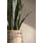 Round Bamboo Planter