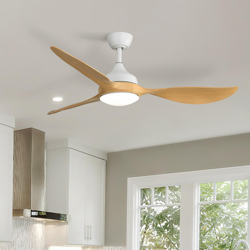 56 Inch Modern Ceiling Fans Dimmable LED Light Quiet DC Reversible Motor For Indoor & Outdoor