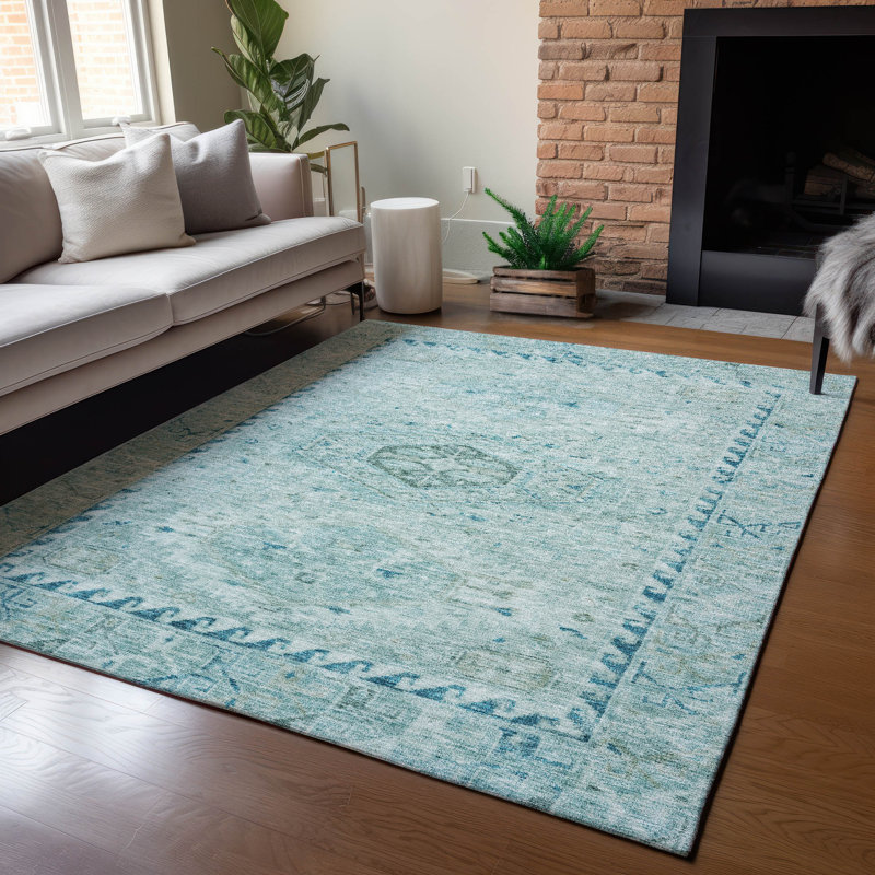 Machine Washable Indoor/Outdoor Chantille ACN2357 Traditional Rug, Rectangle 9' x 12'