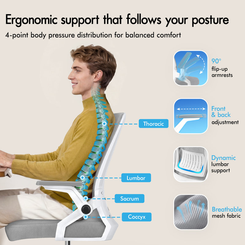 Rebrilliant Mesh and Foam Padding Office Chair, Grey, White