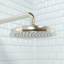 Pomme de douche Raindance C 180-5957248