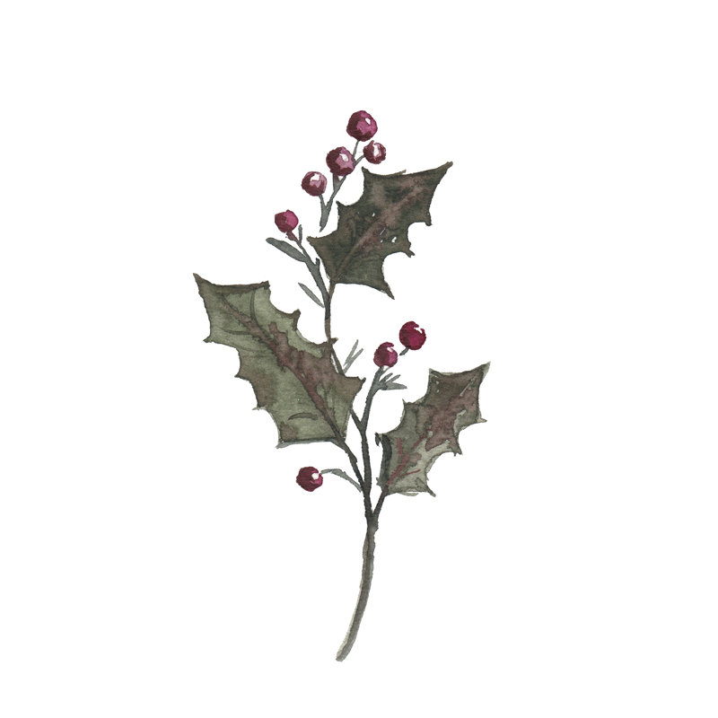 December Holly by Amanda Cook - Wrapped Canvas Print, 46 cm H x 30 cm W