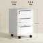 File Cabinet-1797865043