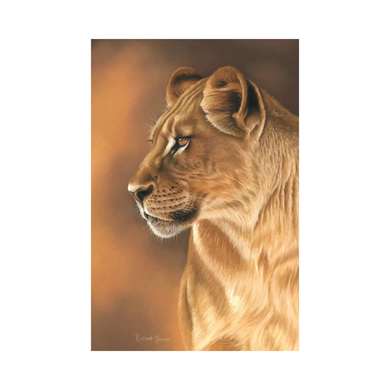 Lioness Portrait by Richard Macwee - Wrapped Canvas Painting, 20.32 cm H x 30.48 cm W