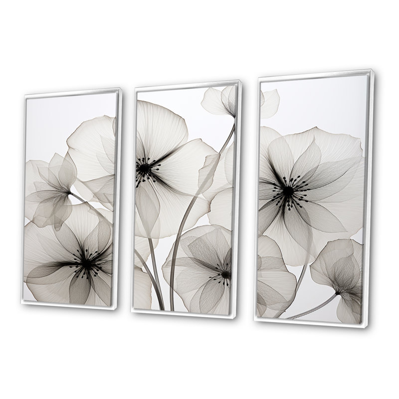 «Black and White Morning Glory Speed» - ensemble d'art mural sur toile Morning Glory, H 28 po x l 36 po x P 1 po