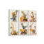 6 Piece Wrapped Canvas Print