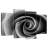 Harnek My Pretty Rose