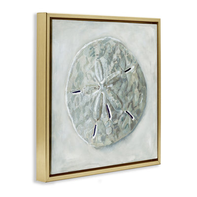 Grey Sand Dollar Seashell