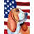 Basset hound 2