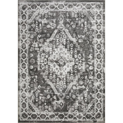 Raghdah Oriental Grey Area Rug