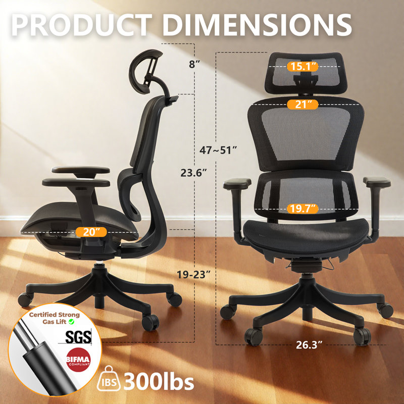 AeroErgo Ergonomic Mesh Office Chair with Adjustable Headrest and  Armrest, Black, Black