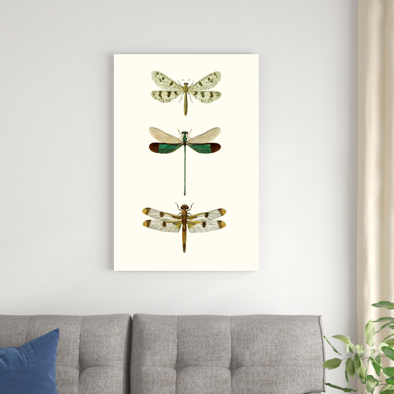 «Entomology Series VII», peinture sur toile, H 36 po x l 24 po