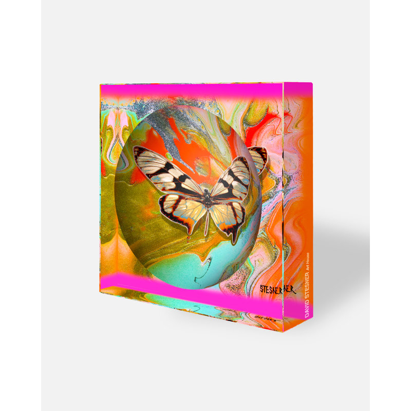 Dreamscape Drift