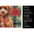 Miniature Red Poodle Christmas PoinsettIas Kitchen Towel-2080583791
