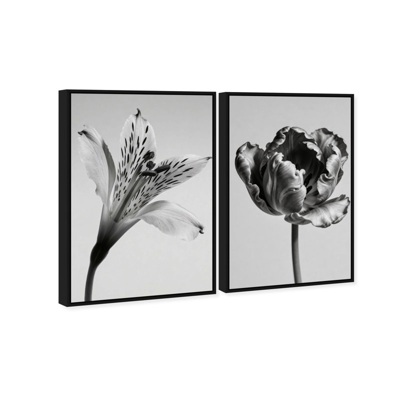 Peeking Flowers Set Set by Oliver Gal, 16" H x 11" W, Black Floater Frame