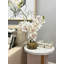 Orchid Arrangement in Glass Vase with Rocks-150529542