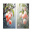 Ensemble de salon en métal Lychee Luminescence - Fruits-642962645