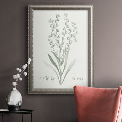 «Botanical Study in Sage I», reproduction d'art sur toile