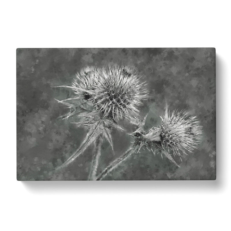 Thistle Flower Vol.5 - Wrapped Canvas, 50cm H x 76cm W x 3cm D