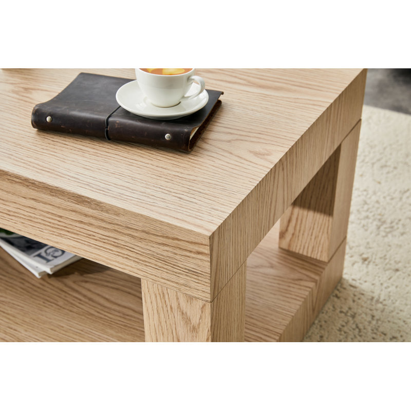 Table basse moderne à 2 niveaux pour meubles de salon, table centrale rectangulaire avec tablette de rangement ouverte, Bois