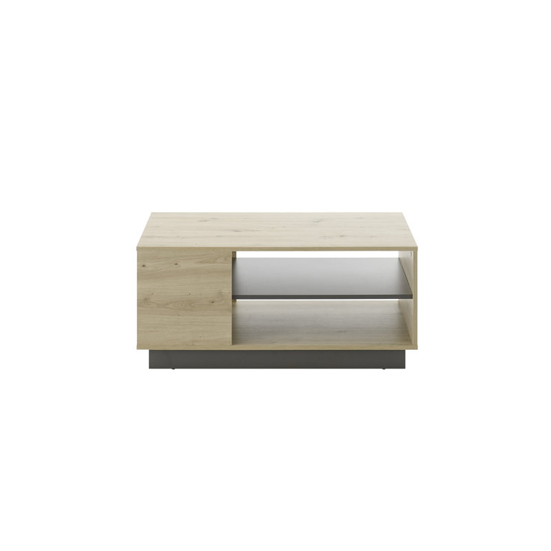 Burleson Solid Coffee Table with Storage