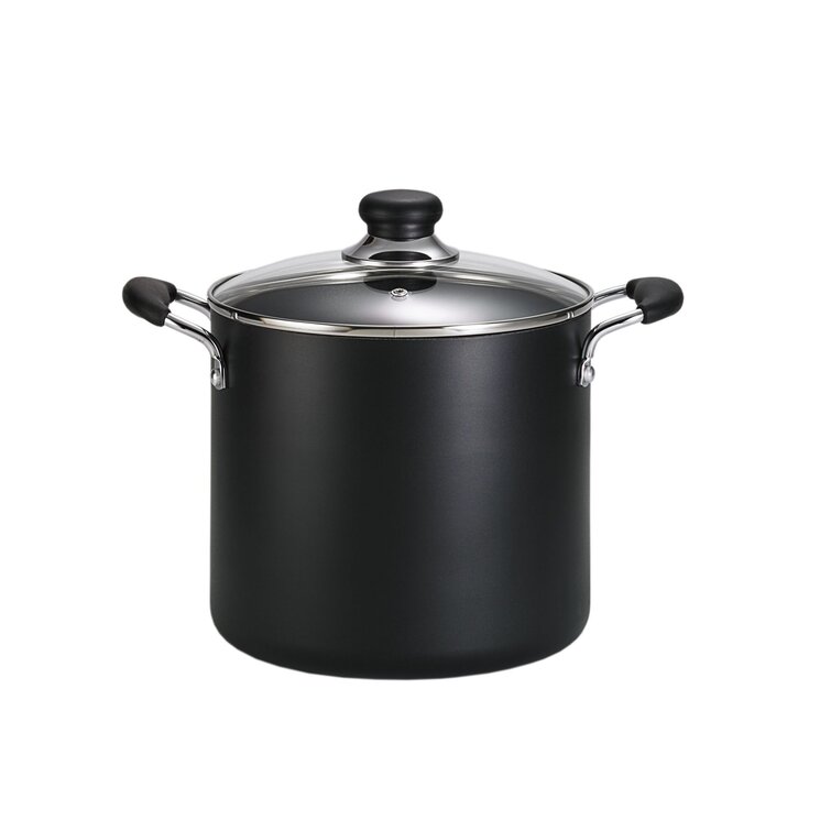 https://assets.wfcdn.com/im/11623911/resize-h755-w755%5Ecompr-r85/3707/37075893/T-fal+Easy+Care+Nonstick+Stockpot+with+lid%2C+12+quart.jpg