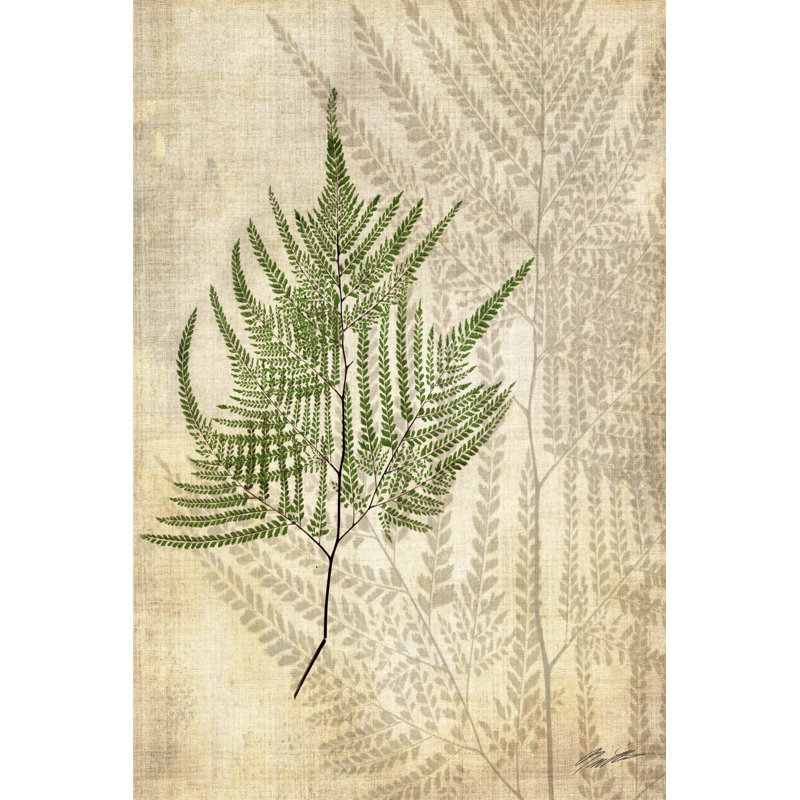 «British Ferns V», peinture sur toile, H 48 po x l 32 po