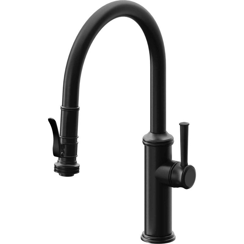 Davoli Kitchen Faucet, Matte Black