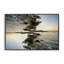 Giclée encadrée par le surréalisme de la nature surréaliste, design par Robin Vandenabeele-1060163415-1060163408