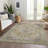Machine Washable Indoor/Outdoor Segin ACN1103 Wheat Rug-109484683